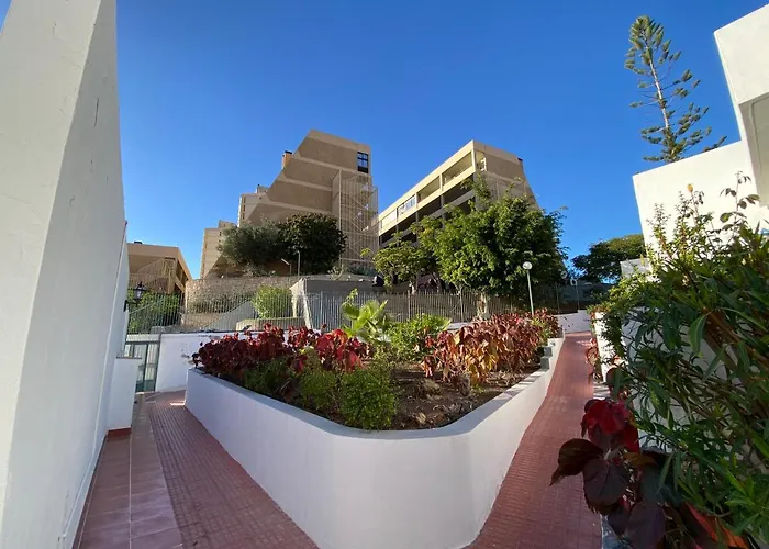 Fantastic Bungalow Playa De Las Americas